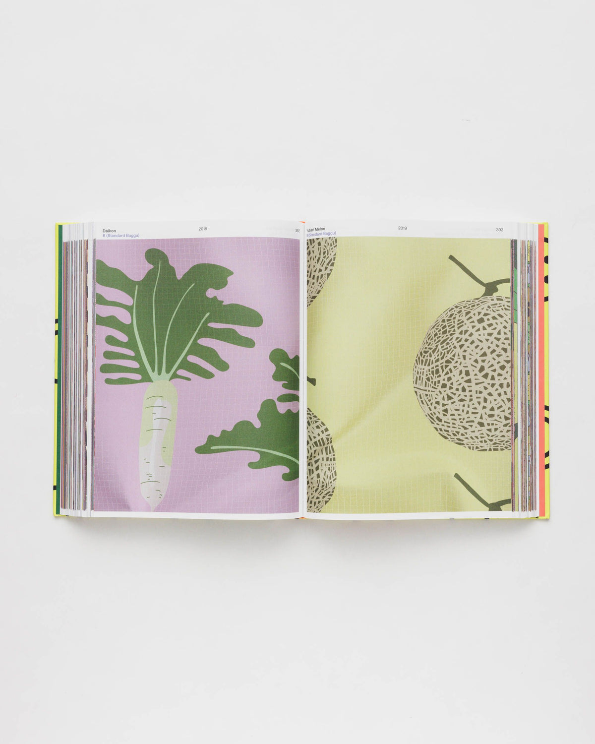HOLD EVERYTHING: 15 YEARS OF BAGGU - US 5917