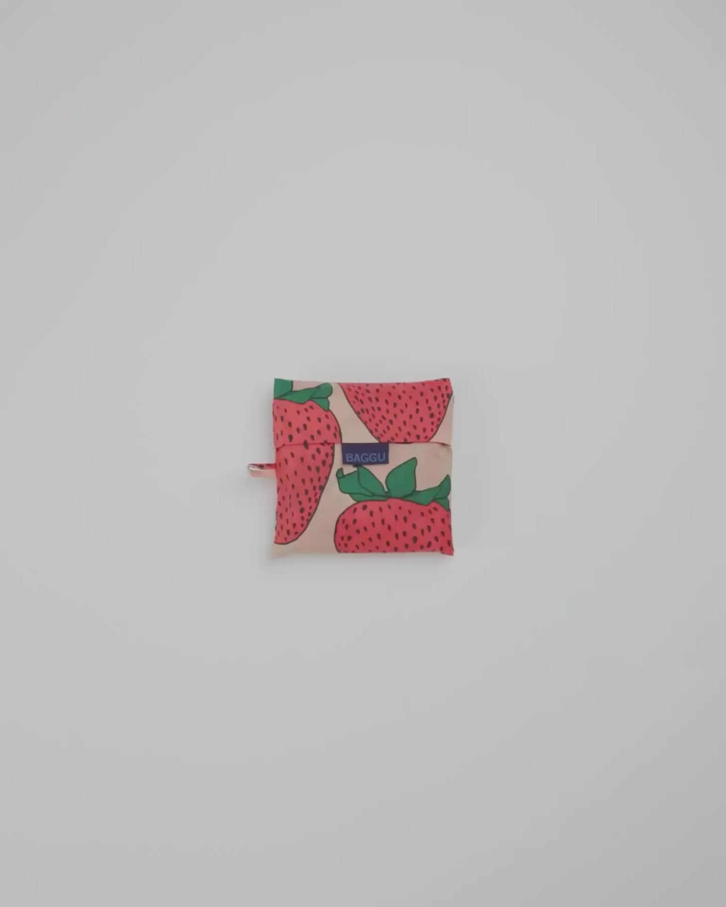 BIG BAGGU - US 2804