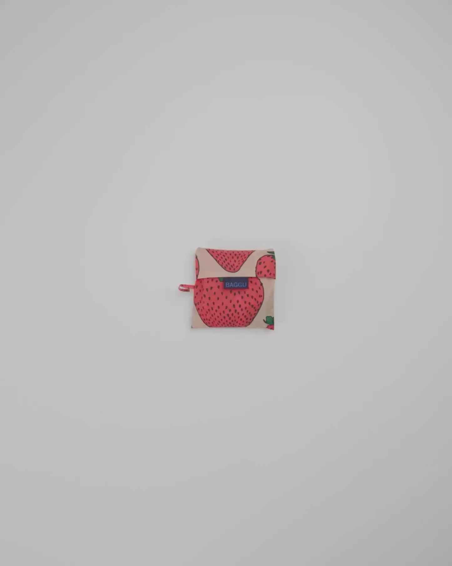 STANDARD BAGGU - US 4554